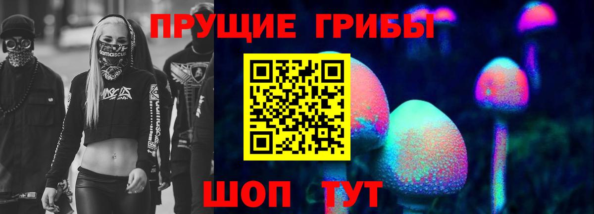 Псилоцибиновые грибы GOLDEN TEACHER  Вход с VPN  Псилоцибиновые грибы прущие грибы  цена   Изобильный 